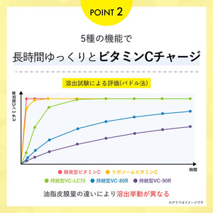 ELLISS ビタミンC 1000(90粒×2袋)