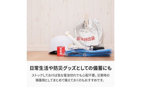 【enevolt】 エネボルト Basic アルカリ乾電池 単4形 24本セット 【2年間保証】