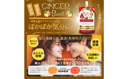 魅惑ザクロ GINGER Boost(福岡市返礼品)【3袋入り】
