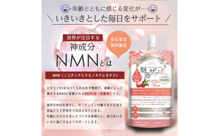 魅惑ザクロ NMN Boost(福岡市返礼品)【12袋入り】