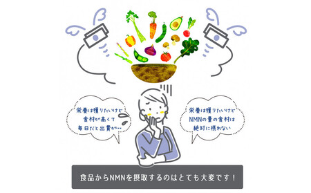 【全3回】魅惑ザクロ NMN Boost(福岡市返礼品)【4袋入り】