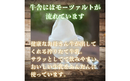 【博多スイーツ】福岡の老舗スイーツ専門店の九州産ミルク100％ジェラート2000ml×１P