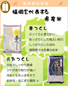 福岡県産 夢つくし10kg (5kg×2袋) (令和7年産)
