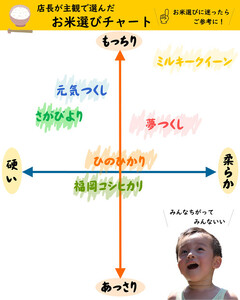 福岡県産 夢つくし10kg (5kg×2袋) (令和7年産)