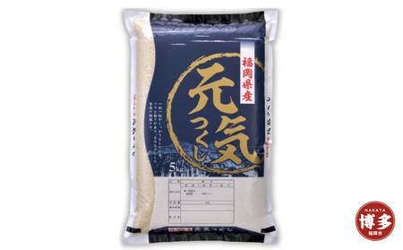 福岡県産 元気つくし 5kg (5kg×1袋) (令和7年産)