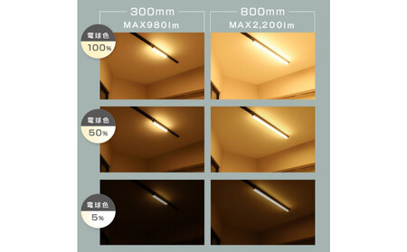 エジソンスマート ラインライト 800mm for ダクトレール ブラック 福岡市