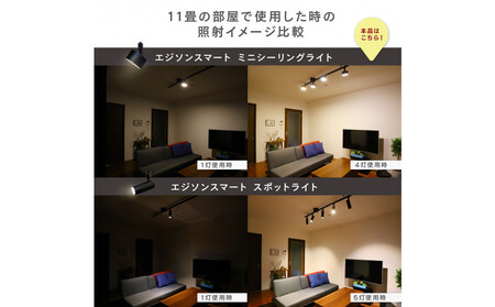 エジソンスマートミニシーリングライト for ダクトレール 【ブラック】 福岡市