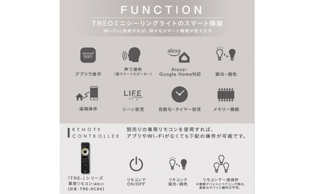 エジソンスマート TREO ミニシーリングライト アーム付き(ダクトレール用) 【ホワイト】 福岡市