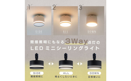 エジソンスマート TREO ミニシーリングライト アーム付き(ダクトレール用) 【ブラック】 福岡市