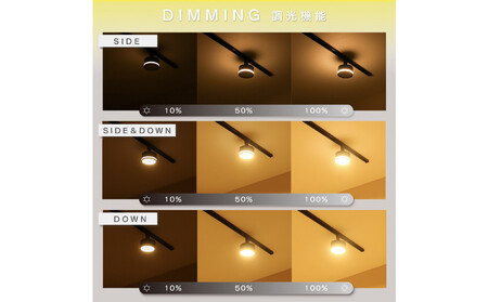 エジソンスマート TREO ミニシーリングライト アーム付き(ダクトレール用) 【ブラック】 福岡市