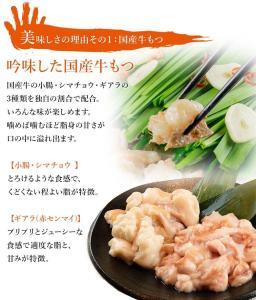 九州名物とめ手羽　博多もつ鍋セット　九州しょうゆ味　5-6人前