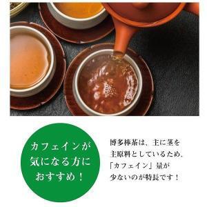 博多棒茶６袋セット