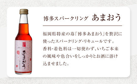 石蔵酒造 博多のお酒・梅酒・リキュールセット