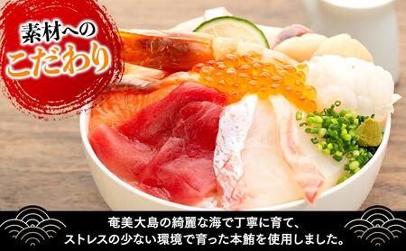 福岡市グルメ糸島海鮮堂の8種の海鮮丼3食セット