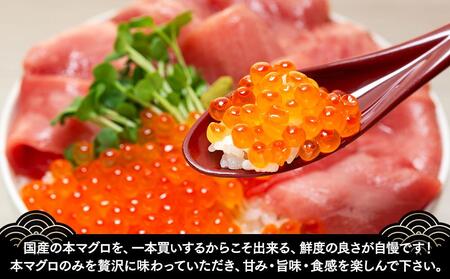 福岡市グルメ 糸島海鮮堂の海鮮2種(いくら増量)セット