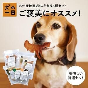 福岡市【無添加 犬のおやつ】九州産地直送！こだわり6種セット