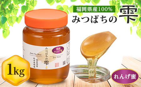【5月～6月発送】みつばちの雫　国産れんげ蜜　1000g_調味料 はちみつ  ハチミツ 蜂蜜_【1496816】