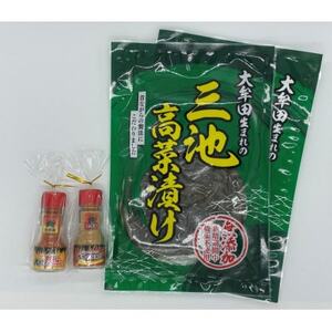 大牟田生まれの三池高菜漬け(2袋)と大蛇のなみだと大蛇の火吹_惣菜・加工品  漬物   調味料   _【1538543】