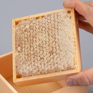 国産巣蜜(コムハニー)_はちみつ ハチミツ 蜂蜜 蜜 ハニー 巣蜜 巣みつ コムハニー 国産 国産蜂蜜 天然 濃厚 スイーツ デザート トースト ホットケーキ ヨーグルト フルーツ 調味料 産地直送 養蜂 贈答 ギフト プレゼント_【1325249】