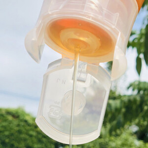 みつばちの雫　国産百花蜜　500g_調味料 はちみつ  ハチミツ 蜂蜜_【1343859】