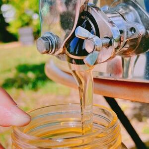 みつばちの雫　国産百花蜜　500g_調味料 はちみつ  ハチミツ 蜂蜜_【1343859】