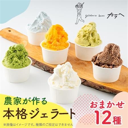 福岡県産 農家が作る本格ジェラート　　12種類おまかせセレクション_菓子・スイーツ アイス・ジェラート  _【配送不可地域：離島】【1543307】