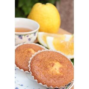 かすてら饅頭と天草晩柑マドレーヌ_菓子・スイーツ 洋菓子    菓子・スイーツ 焼き菓子    菓子・スイーツ 饅頭  まんじゅう マンジュウ_【1556210】