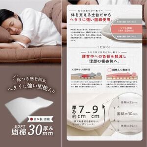 大牟田市生産 合繊敷き布団 シングルロング 固綿入2.8kg 100×210cm アイボリー【1622310】