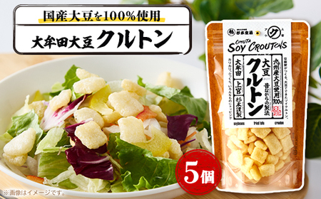大牟田大豆クルトン25g×5個【1613867】 12,480円