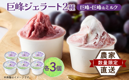 福岡県　巨峰100%と巨峰とミルクのミックスジェラート(各80ml3個　合計6個セット)(大牟田市)【配送不可地域：離島】【1625457】