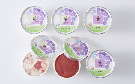 福岡県　巨峰100%と巨峰とミルクのミックスジェラート(各80ml3個　合計6個セット)(大牟田市)【配送不可地域：離島】【1625457】