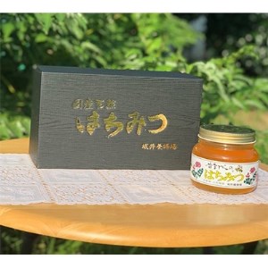坂井養蜂場　昔ながらの蜂蜜　550g　2本組【1089941】