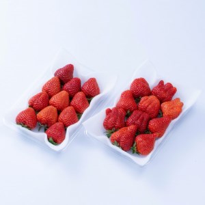 【11月下旬より順次発送】酸味と甘みの絶妙なバランス・冬あまおう4パック(大牟田市)_果物・フルーツ いちご イチゴ 苺_【配送不可地域:離島・北海道・沖縄県】【1226660】