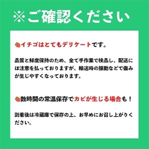 酸味と甘みの絶妙なバランス・冬あまおう8パック(大牟田市)【配送不可地域：離島・北海道・沖縄県】【1226664】