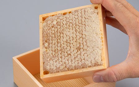 国産巣蜜(コムハニー)2個セット_調味料 はちみつ  ハチミツ 蜂蜜_【1361310】