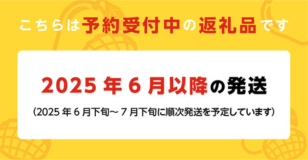 くるめで育った完熟マンゴー （1玉：約450～500g）