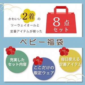 2024年 赤ちゃんの城の冬の福袋（ブルー）_限定デザイン 2024年 福袋 赤ちゃんの城 冬の福袋 ブルー 8点 青系 セット 冬 ベビー キッズ 赤ちゃん 子供 出産準備 ツーウェイオール スタイ ベスト 短肌着 コンビ肌着 バスタオル 浴用セット ガーゼハンカチ 浴巾 福岡県 久留米市 送料無料_Sb020-B