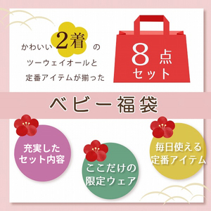 2024年 赤ちゃんの城の冬の福袋（ピンク）_限定デザイン 2024年 福袋 赤ちゃんの城 冬の福袋 ピンク 8点 ピンク系 セット 冬 ベビー キッズ 赤ちゃん 子供 出産準備 ツーウェイオール スタイ ベスト 短肌着 コンビ肌着 バスタオル 浴用セット ガーゼハンカチ 浴巾 福岡県 久留米市 送料無料_Sb020-P