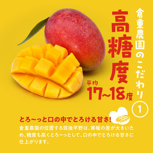 【家庭用】くるめで育った完熟マンゴー （2玉：約0.8～1kg）_先行予約！先行予約 家庭用 くるめで育った 完熟マンゴー 2個 約0.8～1kg 甘い 子供も安心2025年 6月下旬から順次お届け  果物 マンゴー 国産 クール便  倉重農園 お取り寄せ 福岡県 久留米市 送料無料_Fm016