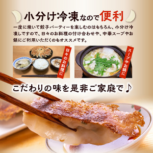 にんにく餃子4袋セット_にんにく好き必見 国産ニンニク 100% にんにく餃子 4袋セット スタミナ満点ぎょうざ 16個入り×2袋 真心餃子 にんにく鶏なんこつぎょうざ 18個入り×2袋 餃子のまごころ本舗 福岡県 久留米市 お取り寄せ 餃子 惣菜 おかず おつまみ 冷凍 送料無料_Cx206