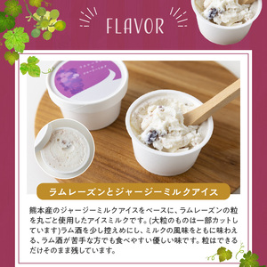 ラムレーズンアイス6個セット（2種の味わい）_ラムレーズン アイス 6個 セット 2種 x 各 3ヶ 国産干しぶどう ジャージーミルク ラムレーズンアイス ミルクアイス アイスクリーム スイーツ デザート おやつ カップ カップアイス 贈り物 福岡県 久留米市 お取り寄せ お取り寄せスイーツ 送料無料_Dw057