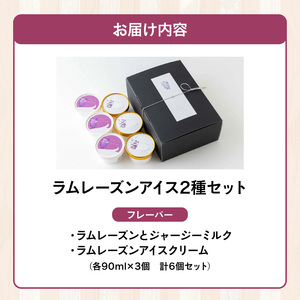ラムレーズンアイス6個セット（2種の味わい）_ラムレーズン アイス 6個 セット 2種 x 各 3ヶ 国産干しぶどう ジャージーミルク ラムレーズンアイス ミルクアイス アイスクリーム スイーツ デザート おやつ カップ カップアイス 贈り物 福岡県 久留米市 お取り寄せ お取り寄せスイーツ 送料無料_Dw057