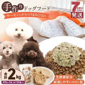 1cofood 手作りドッグフード サーモンとタラのうまみごはん 400g×5袋 〔Pf019〕