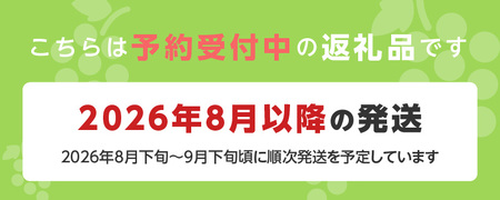 【2026年8月以降お届け】シャインマスカット（1～2房：約1000g～）_シャインマスカット 1房 ～ 2房 約1000g 酸味 甘み 美味しい 皮 薄い 食べやすい 冷蔵 フルーツ 果物 ぶどう シャイン マスカット 国産 おやつ デザート お取り寄せ お取り寄せグルメ 福岡県 久留米市 送料無料_Fg010