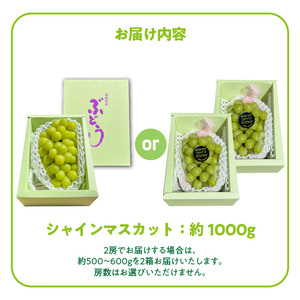 【2026年8月以降お届け】シャインマスカット（1～2房：約1000g～）_シャインマスカット 1房 ～ 2房 約1000g 酸味 甘み 美味しい 皮 薄い 食べやすい 冷蔵 フルーツ 果物 ぶどう シャイン マスカット 国産 おやつ デザート お取り寄せ お取り寄せグルメ 福岡県 久留米市 送料無料_Fg010