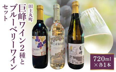 田主丸町巨峰ワイン二種とブルーベリーワインのセット_田主丸町 巨峰 ワイン 二種 ブルーベリーワイン 各 720ml × 1本 計 3本 セット 巨峰葡萄酒ドライ 辛口 すっきり ブルーベリー 甘口 濃厚 シングルヴィンヤード 巨峰白 中口 フルーティー 飲み比べ お取り寄せ 〔Ew013〕