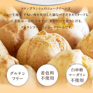 自然栽培 米粉のシュークリーム プレーン12個セット_Dw082