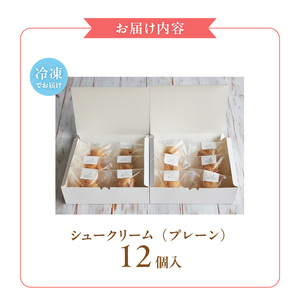 自然栽培 米粉のシュークリーム プレーン12個セット_Dw082