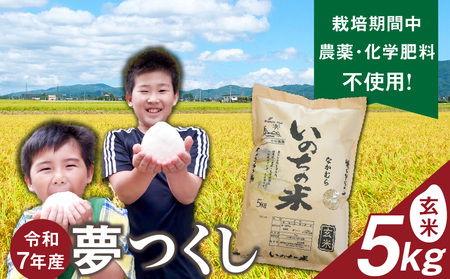 令和7年産夢つくし（玄米）5kg中村農園いのちの米_令和7年産 夢つくし 5kg 玄米 いのちの米 つややか 光沢 もちもち 食感 粘り 甘み ビタミン ミネラル 食物繊維 国産 米 新米 ブランド米 ご飯 おにぎり おむすび 弁当 主食 食品 食べ物 グルメ お取り寄せ お取り寄せグルメ 福岡県 久留米市 送料無料 〔Gr061〕