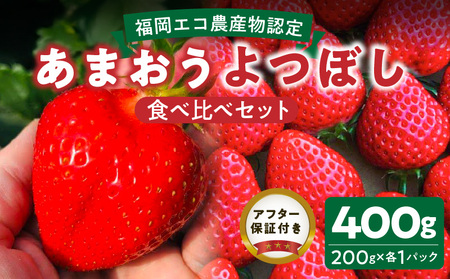 福岡県エコ農産物認定　堀農園のあまおう＆よつぼし食べ比べセット400ｇ(200g×2パック)_ エコ農産物認定 堀農園 あまおう よつぼし 各 200g × 1パック 計 400g 食べ比べ セット 完熟 食べ頃 いちご チルド便 大粒 甘み 程よい 酸味 バランス 絶妙 果汁 ジューシー 四つ星級 お取り寄せ 福岡県 久留米市 送料無料 〔Fi075〕